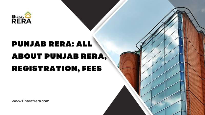 punjab rera